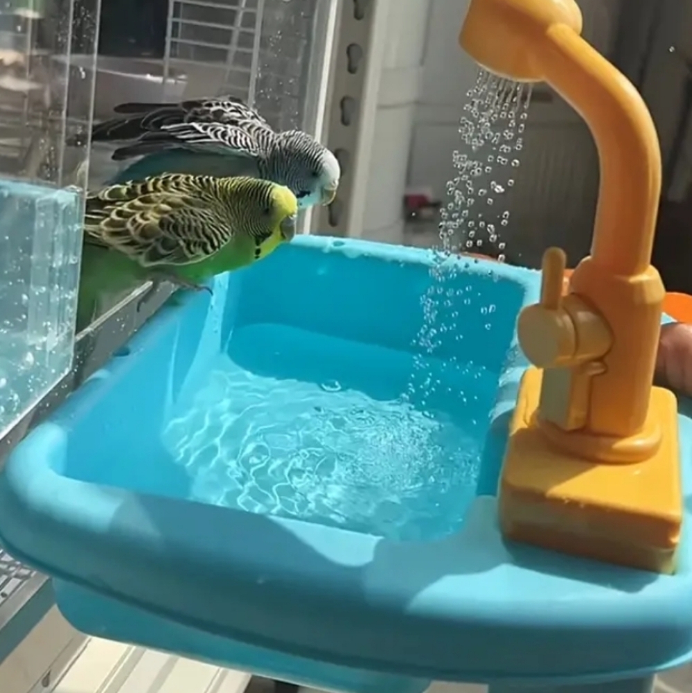 Working Blue Bird Bath with Yellow Faucet